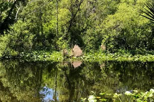 241 Nova Dr, Sanford, FL 32771 - Photo 1