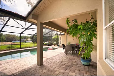 8435 Basuto Drive, Trinity, FL 34655 - Photo 20