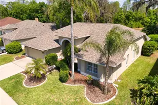 8435 Basuto Dr, Trinity, FL 34655 - Photo 12