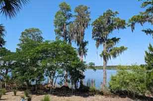 8320 Bryce Canyon Ave, Windermere, FL 34786 - Photo 46