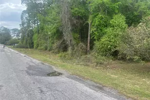 SE 19th Pl SE 19th Pl, Silver Springs, FL 34488 - Photo 8