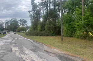 SE 19th Pl SE 19th Pl, Silver Springs, FL 34488 - Photo 10