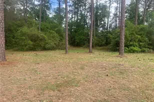 SE 19th Pl SE 19th Pl, Silver Springs, FL 34488 - Photo 4