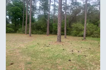 Se 19th Place SE 19th Place, Silver Springs, FL 34488 - Photo 6