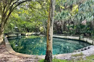 207 Weeping Elm Ln, Longwood, FL 32779 - Photo 56