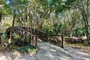207 Weeping Elm Ln, Longwood, FL 32779 - Photo 52