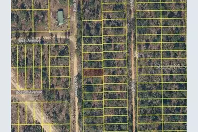 Park Street, Interlachen, FL 32148 - Photo 2