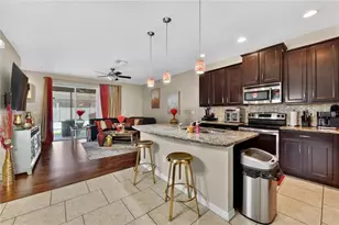 10420 Butterfly Wing Ct, Riverview, FL 33578 - Photo 8