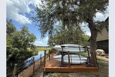 24907 NE 135th Street, Salt Springs, FL 32134 - Photo 42