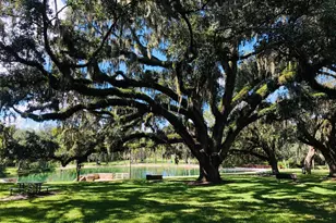 233 Crown Oaks Way, Longwood, FL 32779 - Photo 36