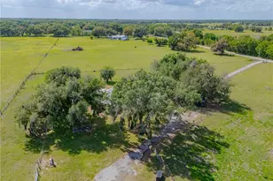 8197 Cr 736, Center Hill, FL 33514 - Photo 50