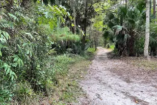 3012 NE 104th Ave, Silver Springs, FL 34488 - Photo 60