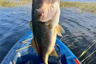 3012 NE 104th Ave, Silver Springs, FL 34488 - Photo 68