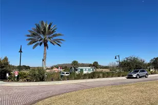 9799 Winnington St, Orlando, FL 32832 - Photo 44