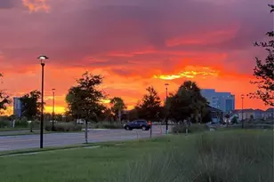 9799 Winnington St, Orlando, FL 32832 - Photo 78