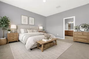 29307 Meadowcroft Ave, Wesley Chapel, FL 33544 - Photo 12