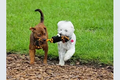 8604 Oakstone Circle, Leesburg, FL 34748 - Photo 22