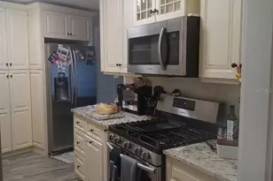 10424 Lyons Ave, Lithia, FL 33547 - Photo 18