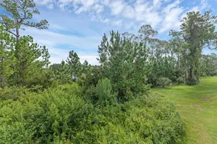 17860 Passionflower Cir, Clermont, FL 34714 - Photo 38