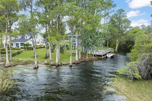 10400 Lake Cottage Ln, Orlando, FL 32836 - Photo 4