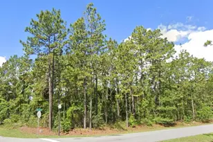 2020 Cr 243 B, Wildwood, FL 34785 - Photo 1