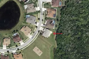 2543 Chapala Dr, Kissimmee, FL 34746 - Photo 74