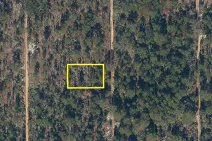 227 Maple St, Interlachen, FL 32148 - Photo 1