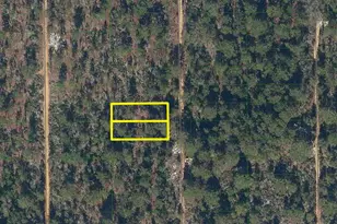 225 Maple St, Interlachen, FL 32148 - Photo 1