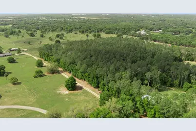 Lake Seneca Road, Eustis, FL 32726 - Photo 14