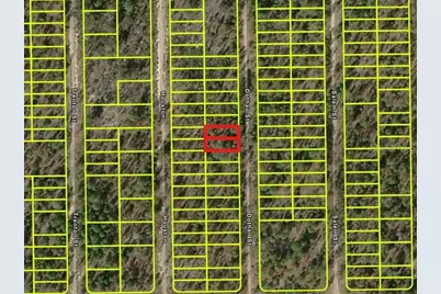 427 Dothan Street, Interlachen, FL 32148 - Photo 1