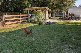 15243 S Hwy 25, Weirsdale, FL 32195 - Photo 62