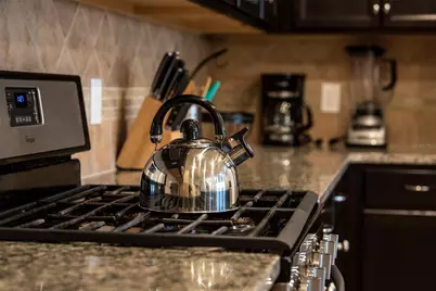 4611 Terrasonesta Drive, Davenport, FL 33837 - Photo 8