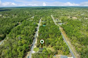 771 W Bancroft Dr, Citrus Springs, FL 34434 - Photo 36