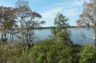 10214 Fallsgrove St, Orlando, FL 32836 - Photo 10