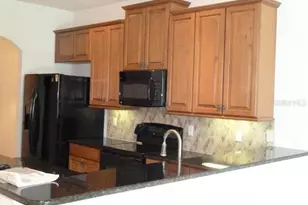 10214 Fallsgrove St, Orlando, FL 32836 - Photo 2