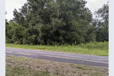 9360 N Dallas Way, Citrus Springs, FL 34434 - Photo 4