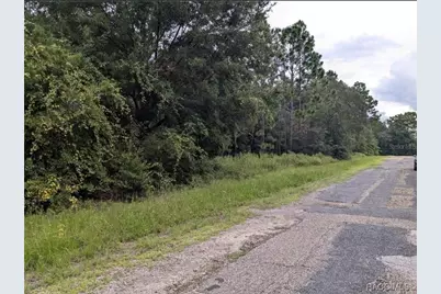 9360 N Dallas Way, Citrus Springs, FL 34434 - Photo 2