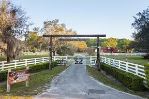 280 Campbell Ranch Run, Geneva, FL 32732 - Photo 6