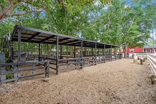280 Campbell Ranch Run, Geneva, FL 32732 - Photo 32