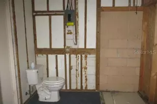 1335 Elray Blvd, Mount Dora, FL 32757 - Photo 12