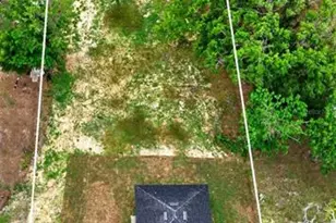 607 Thomas Ave, Leesburg, FL 34748 - Photo 50