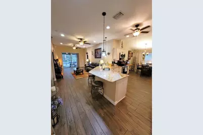 1001 Torreya Way, Odessa, FL 33556 - Photo 8