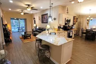 1001 Torreya Way, Odessa, FL 33556 - Photo 8