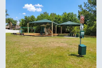 1001 Torreya Way, Odessa, FL 33556 - Photo 42