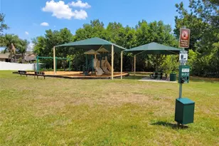 1001 Torreya Way, Odessa, FL 33556 - Photo 42