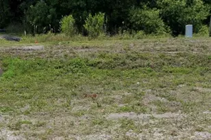 0 E Irlo Bronson Memorial Hwy, Saint Cloud, FL 34773 - Photo 1