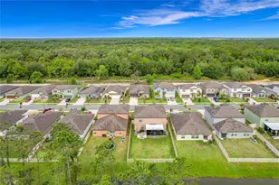 1699 Red Loop, Lakeland, FL 33801 - Photo 52