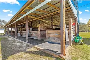 15950 NE 50 St, Williston, FL 32696 - Photo 32