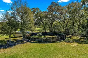 15950 NE 50 St, Williston, FL 32696 - Photo 36