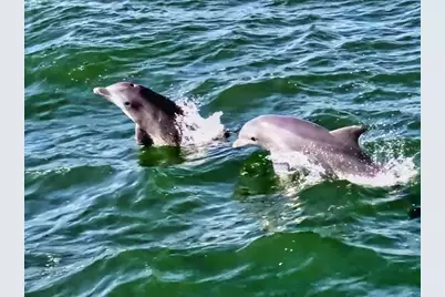 402 Bouchelle Drive #206, New Smyrna Beach, FL 32169 - Photo 54